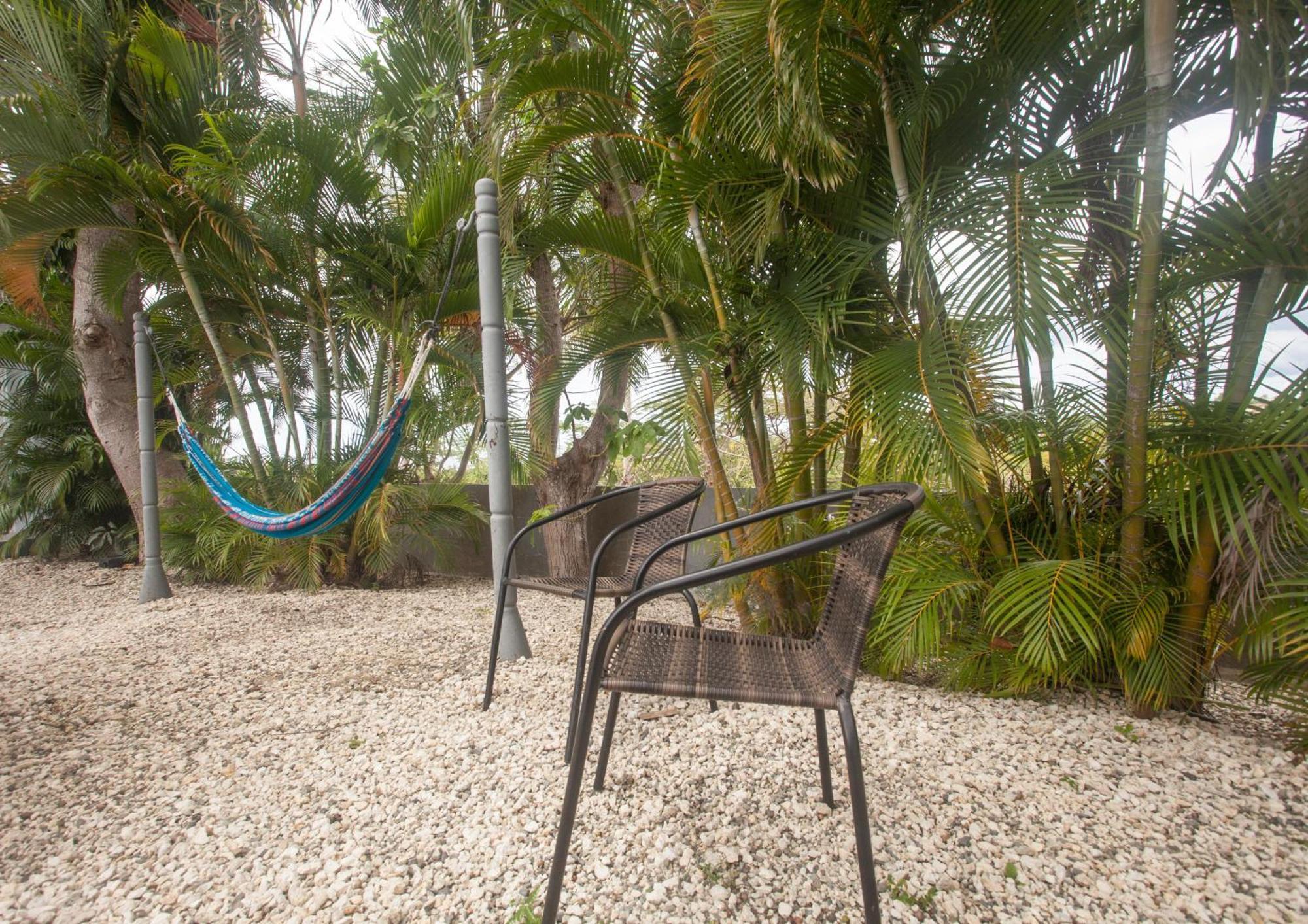 Casa Loba Suite 4 With Private Pool رينكون المظهر الخارجي الصورة